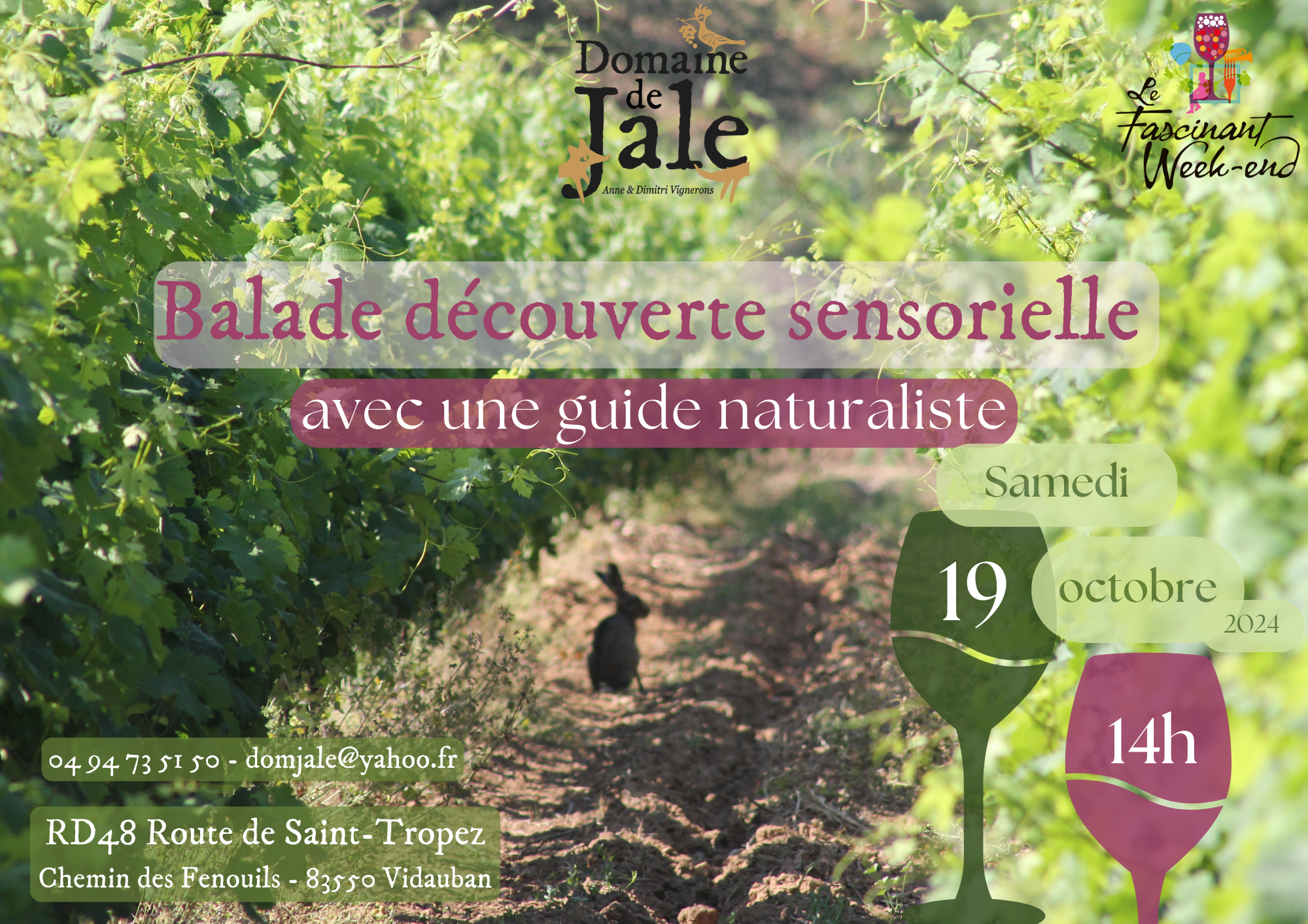 Balade Découverte sensorielle du vignoble