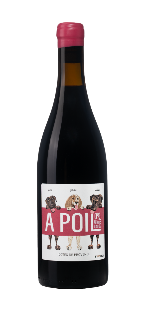 A POIL 2024